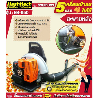 เครื่องเป่าลมใบไม้ 5 HP รุ่น EB-650  HASHITECH เครื่องเป่าลม เป่าใบไม้ ทำแนวกันไฟ ป้องกันไฟป่า เครื่องเป่าลมสะพายหลัง