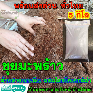 ขุยมะพร้าว พร้อมส่ง ล้างสารเทนนิน น้ำหนัก 5 กิโลกรัม(ประมาณ25ลิตร) แบบแห้งเบาได้เยอะมาก ผสมเชื้อไตรโครเดอร์ม่า