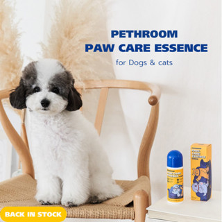 Pethroom Paw Care Essence ลูกกลิ้งบำรุงอุ้งเท้าสัตว์เลี้ยง ป้องกันเท้าเเตก บำรุงผิว ไม่เป็นอันตราย นำเข้าจากเกาหลี 🇰🇷