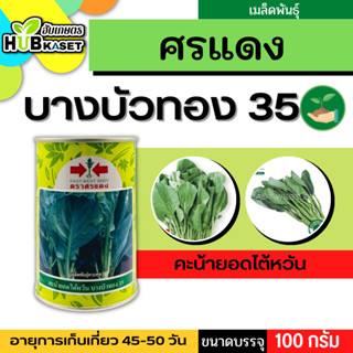 ศรแดง 🇹🇭 คะน้า บางบัวทอง 35 ขนาดบรรจุ 100 กรัม อายุเก็บเกี่ยว 45-50 วัน