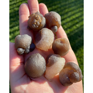 1 Piece Randomly Pick Natural Chalcedony Nodule - Womb Ball - Nurturing Energy