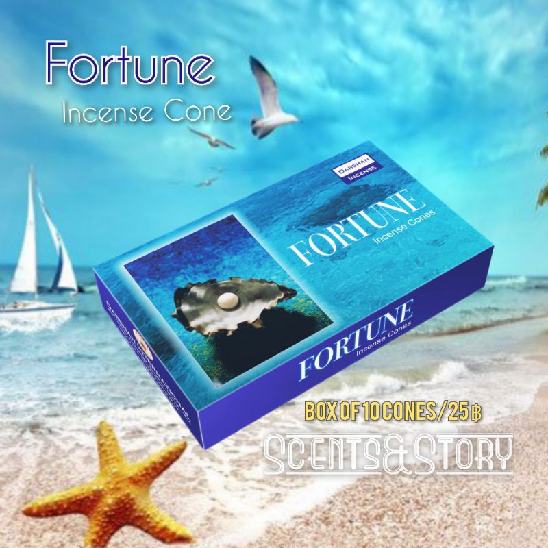 Darshan Fortune Incense Cones 10 cones