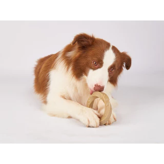 Fofos - Wooden Stix Dog Toy ของเล่นหมา ไม้ขัดฟัน แก้เครียด ทำจากไม้ ใช้กัด แทะ