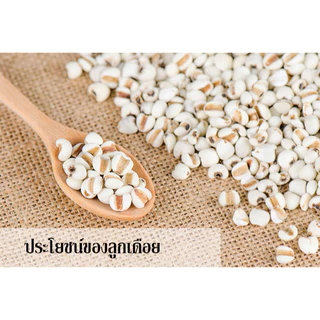 ลูกเดือยชนิดผง แม่อุษา (352 กรัม)