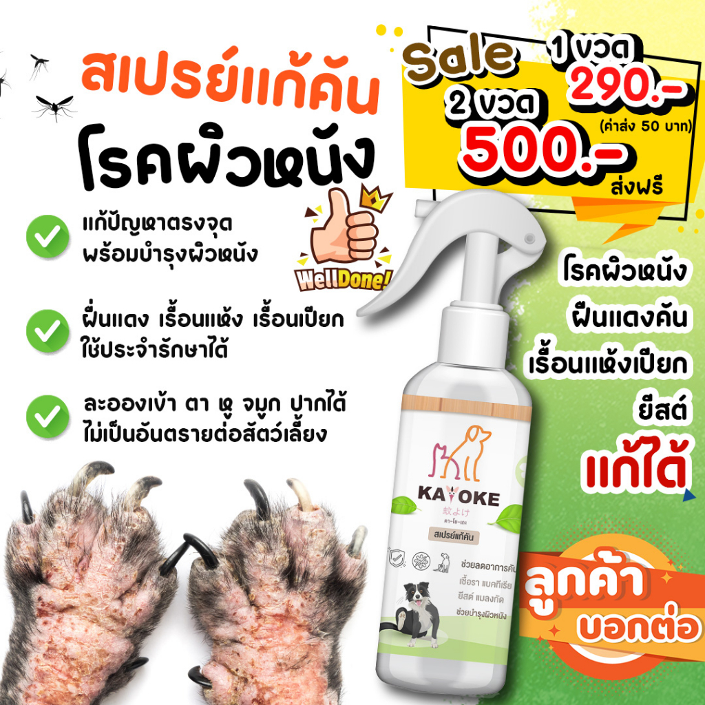 ขายดี🔥 Kayoke 🐶🐱สเปรย์ลดอาการคัน สูตร เข้มข้น🐱🐶  ยีสต์ เชื้อรา พร้อมบำรุงขน🧶