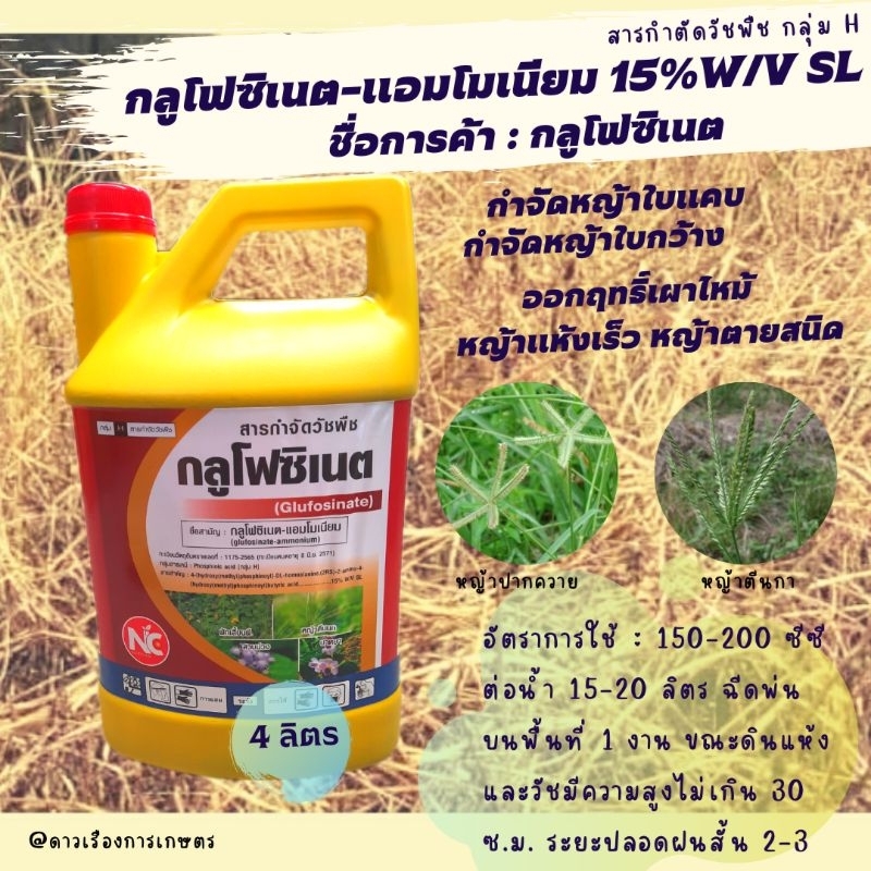 กลูโฟซิเนต แอมโมเนียม 15% W/V SL (4 ลิตร) ยาฆ่าหญ้าชนิเผาไหม้ กำจัดได้ทั้งหญ้าใบแคบและหญ้าใบกว้างตาย