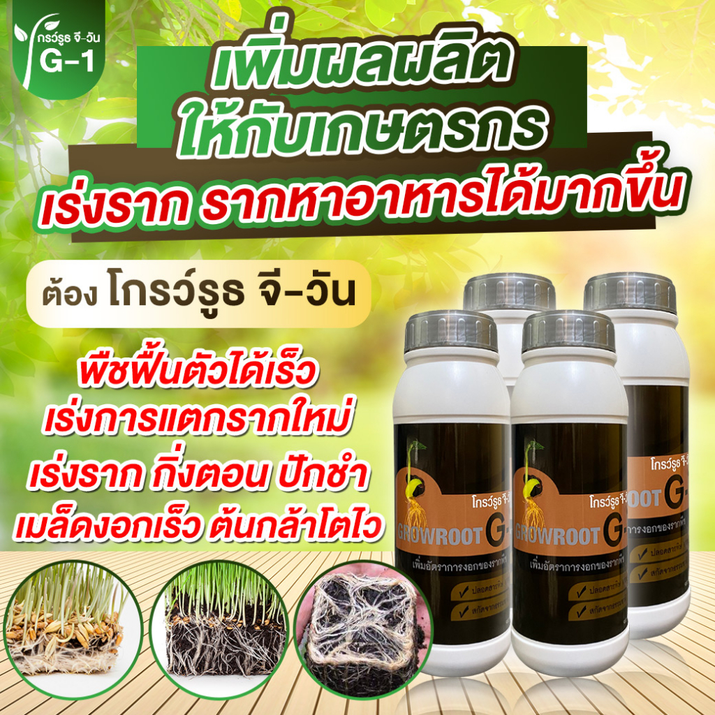 ยาเร่งราก โปร 4 ขวด  แบบผง โกรว์รูธ จี-วัน เร่งราก เร่งใบ น้ำยาเร่งราก กระตุ้นการแตกใบอ่อนต้นสมบูรณ์