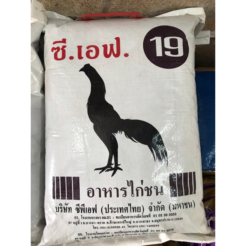 อาหารไก่ชน ซีเอฟ CF 19 (สำหรับไก่ชนตัวผู้ อายุ 3 เดือนถึง 10 เดือน)