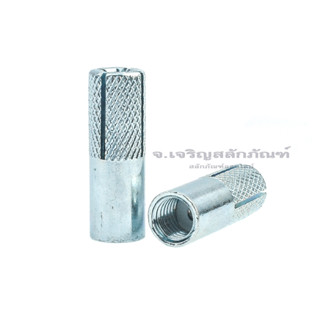 พุกดรอปอินเหล็กชุบซิ้งค์ SANKO M6 M8 M10 3/8" 1/2" (แพ็คละ 4 ตัว) พุ๊ก พลุ๊ก พุกยึด DROP-IN ANCHOR