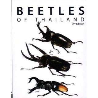 (เนื้อหาภาษาอังกฤษ) BEETLES OF THAILAND (แมลงปีกแข็งในประเทศไทย) 9789742890452