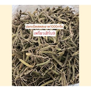 ปอกระบิดสดใหม่สะอาด 1 กิโลกรัม