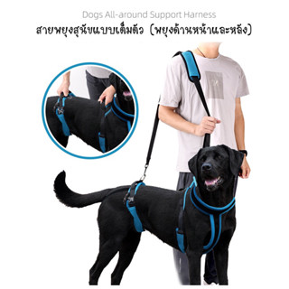 สายพยุงสุนัข ที่พยุงสุนัข ฝึกกายภาพบำบัด แบบหน้าหลัง Doglemi [พร้อมส่ง]