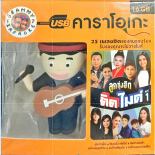 usb เพลงคาราโอเกะ มีภาพ ลูกทุ่งติดไมค์ 25เพลง ร้องและดูภาพกันจุใจแบบแฟลชไดร์ฟ usb