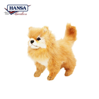 7591  Pomeranian Dog - ตุ๊กตาลูกหมาปอมเมอเรเนี่ยน