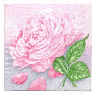 Pladao Napkin ภาพดอกไม้ ดอกกุหลาบ สีชมพูหวาน Rose ดอกใหญ่ กระดาษ แนพกิ้น สำหรับงานศิลปะ เดคูพาจ decoupage ขนาด L 33x33