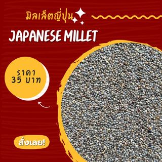 Japanese Millet (มิลเล็ตญี่ปุ่น) อาหารนก ไขมันต่ำเพียง 9% โปรตีนสูง