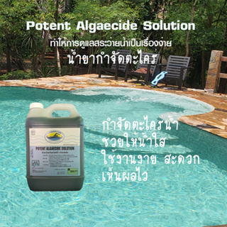 น้ำยาป้องกันและกำจัดตะไคร่น้ำ  ขนาด 5 ลิตร ชนิดเข้มข้น (Potent Algaecide Solution) พร้อมช้อนตวงน้ำยา