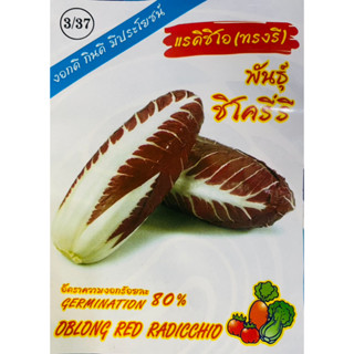 เมล็ด แรดิชิโอ(ทรงรี) พันธุ์ชิโครี่รี ( OBLONG RED RADICCHIO )
