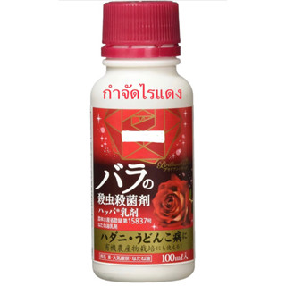 🌹 สารกำจัดไรแดงจากธรรมชาติ 🌹 นำเข้าจากญี่ปุ่น 🇯🇵