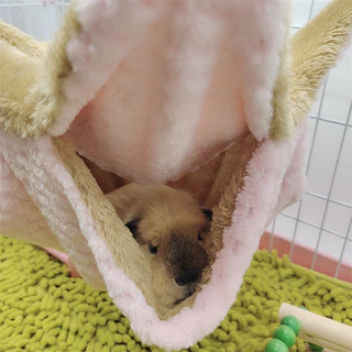[Animal KOKO] 🤡ถุงนอนจานบิน 🎠หนูตะเภา 🐁 แกสบี้ ชินชิล่า ชูก้าไกลเดอร์ กระต่าย กระรอก แฮมสเตอร์ หนู