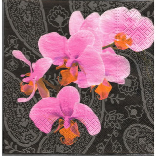 Pladao Napkin ภาพดอกไม้ ดอกกล้วยไม้ม่วง Orchid พื้นโบโฮดำ กระดาษ แนพกิ้น สำหรับงานศิลปะ เดคูพาจ decoupage ขนาด L 33x33