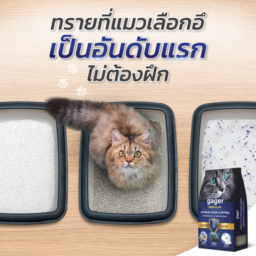 รูปภาพ 6