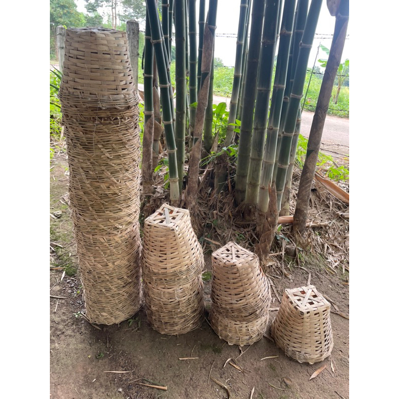 เข่งปลูกต้นไม้เล็กจุดิน3โล