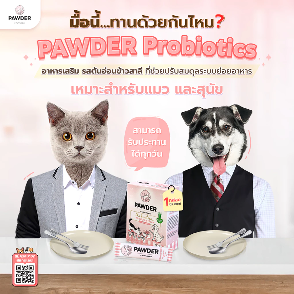 Pawder Probiotics อาหารเสริมโพรไบโอติกส์ ผสมสารสกัดต้นข้าวสาลีอ่อน สำหรับสุนัขและแมว ผลิตและนำเข้าจากไต้หวัน thumbnail 5