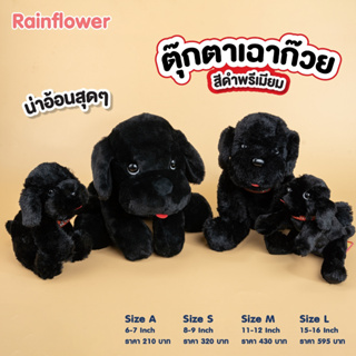 🖤🐶 สุนัขเฉาก๊วย (ไม่มีกลิ่นนาโน)แบรนด์  Rainflower 🖤🐶