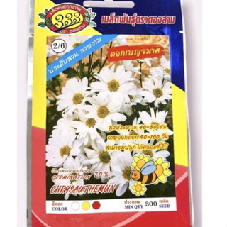 เบญจมาศ คละสี 300 เมล็ด
