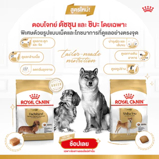 [ล็อตใหม่ exp 08/2027] Royal Canin Dachshund Adult อาหารสุนัข โรยัล คานิน สุนัขโต สายพันธุ์ ดัชชุน บำรุงกระดูก 1.5 kg