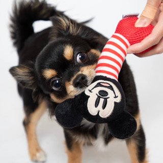 Disney Mickey Carakara Toy for Dogs