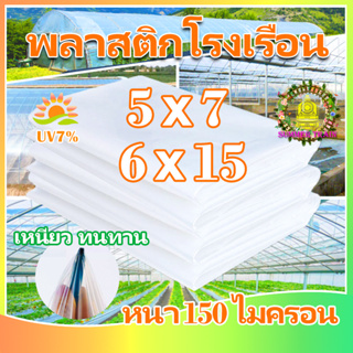 พลาสติกโรงเรือน พลาสติกคลุมโรงเรือน พลาสติกใส กันฝน greenhouse 6×10 หนา150ไมครอน UV7% โรงเรือนแคคตัส กันสาด พลาสติกปูบ่อ