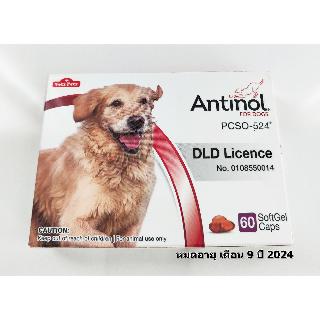 Antinol DOG 1 กล่อง 60 แคปซูล อาหารเสริม บำรุงข้อสุนัข ข้ออักเสบ