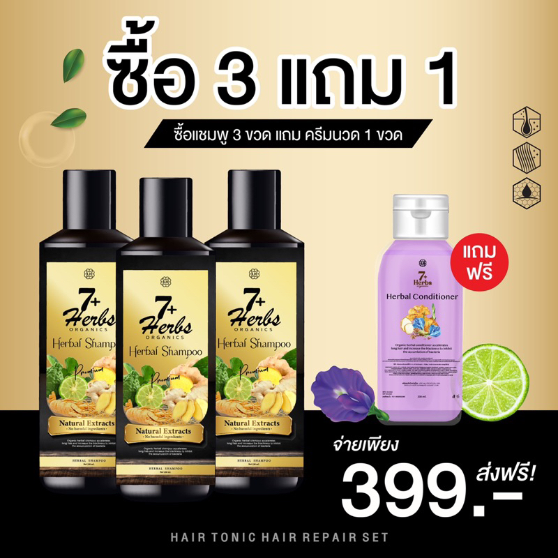 แชมพูสมุนไพร7Herbs จัดเซท3ขวด ลดผมร่วง ลดคัน แก้ปัญหาหัวล้าน