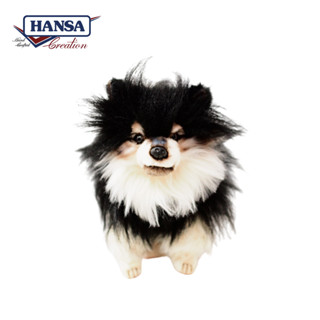 8043 Pomeranian Black Dog - หมาปอมสีดำ