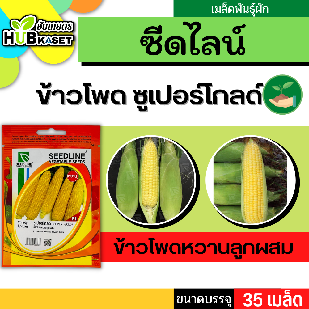 ซีดไลน์ ข้าวโพดหวานลูกผสม ซูเปอร์โกลด์ ขนาดบรรจุประมาณ 35 เมล็ด