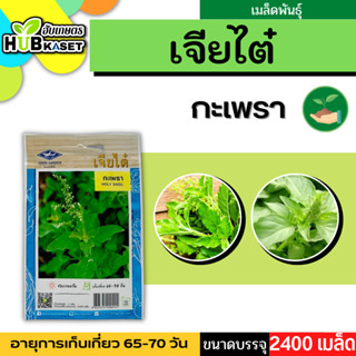 เจียไต๋ 🇹🇭 กะเพรา ขนาดบรรจุประมาณ 2400 เมล็ด อายุเก็บเกี่ยว 65-70 วัน