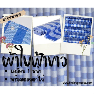 ผ้าใบฟ้าขาว  blue sheet ผ้าใบคลุมสินค้า ผ้าใบบังแดด ผ้าใบคลุมท้ายรถบรรทุก ผ้าใบโรงเรือน เคลือบหนึ่งด้านพร้อมตอกตาไก่