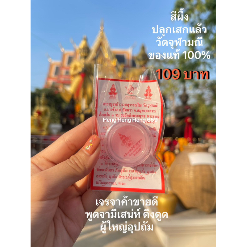 สีผึ้งดอกกุหลาบของแท้จากวัดจุฬามณี เจรจาค้าขายดี เรียกเงินทอง วาจามีเสน่ห์