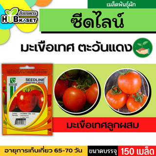 ซีดไลน์ 🇹🇭 มะเขือเทศลูกผสม ตะวันแดง ขนาดบรรจุประมาณ 150 เมล็ด อายุเก็บเกี่ยว 65-75 วัน