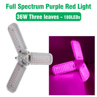 220V Full Spectrum LED Grow Light 36W สีม่วง ไฟปลุกต้นไม้ ไฟช่วยต้นไม้โตเร็ว