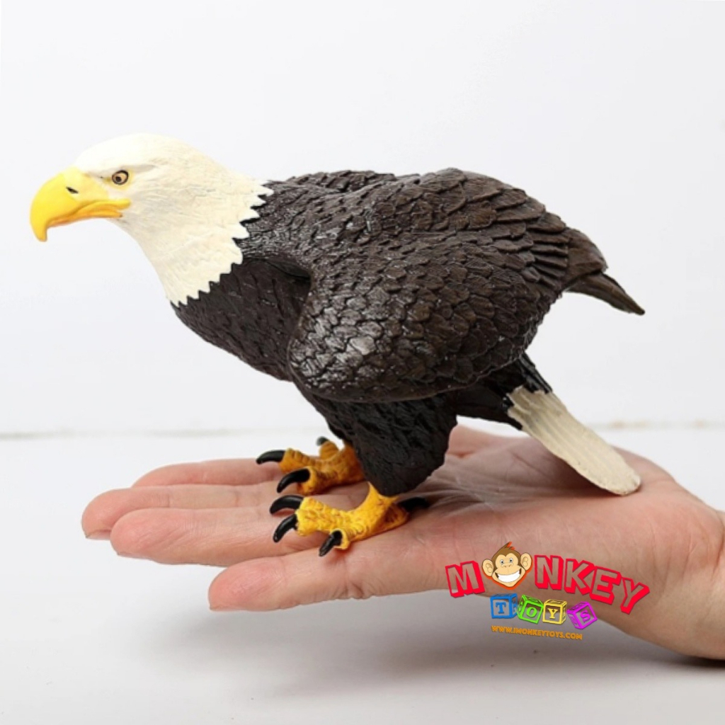Monkey Toys - โมเดลสัตว์ Bird นก อินทรีย์ ขนาด 16.00 CM (จากหาดใหญ่)