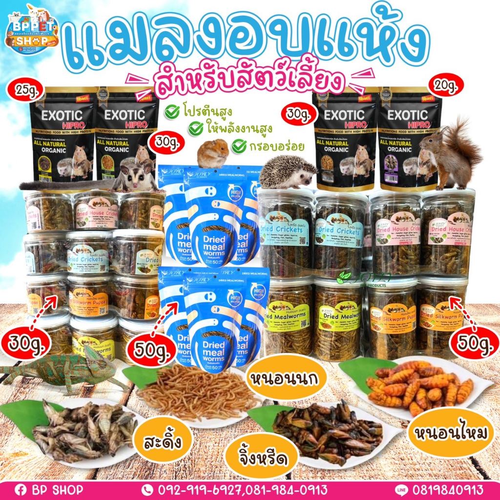 (Ratima) ขนมหนูแฮมเตอร์ ขนมชูก้าร์ กระรอก แมลงอบแห้ง อาหารเสริมสำหรับสัตว์เล็ก ขนมสัตว์เล็ก