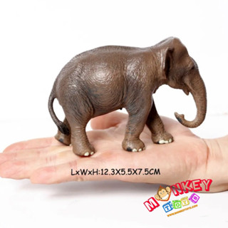 Monkey Toys - โมเดลสัตว์ ช้างเอเชีย ขนาด 12.50 CM (จากหาดใหญ่)