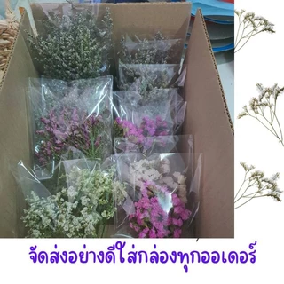 ซองละ20บาทดอกไม้แห้ง ดอกแคสเปียแห้ง ดอกสุ่ยแห้ง ดอกสเตติสแห้ง ดอกไม้แห้งหลายชนิดนำไปตกแต่งDIY