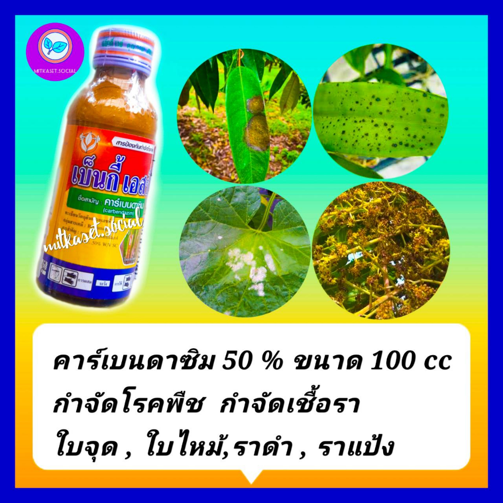 คาร์เบนดาซิม 50% SC ยากำจัดเชื้อรา ยากันเชื้อรา เชื้อราบนใบ ขนาด 100 cc กำโรคพืช ใบติด โรคใบไหม้,โรคกาบใบแห้งใบจุด