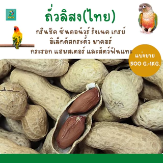ถั่วลิสง (แบ่งขาย 200-500G.) อาหารนกแก้วขนาดกลาง-ใหญ่ แฮมสเตอร์ กระรอก กระแต