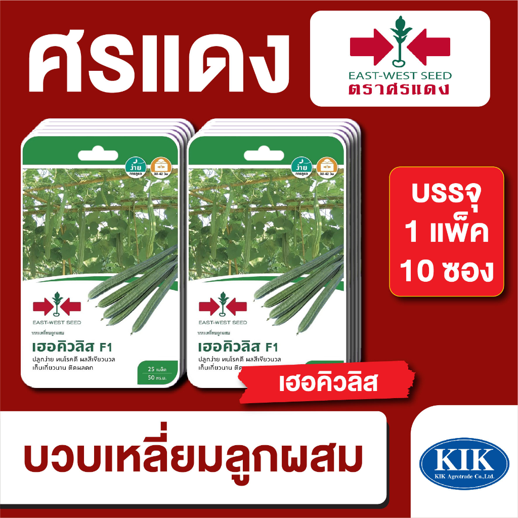 เมล็ดพันธุ์ ผักซอง ศรแดง บวบเหลี่ยม เฮอร์คิวลิสGG F1 บรรจุแพ็คละ 10 ซอง