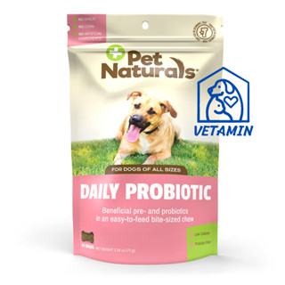 พร้อมส่ง Pet Naturals of Vermont - โพรไบโอติก สำหรับสุนัข ขนิดเม็ดเคี้ยวขนม เสริมสุขภาพทางเดินอาหาร 60 เม็ด Exp.12/23